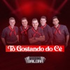 Tô Gostando do Cê - Single
