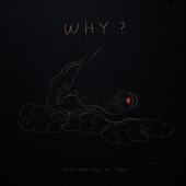 Why? (feat. Teda) artwork