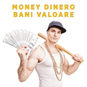 Money Dinero Bani Valoare