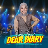 Dear Diary artwork