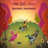 Orange Sunshine - Single