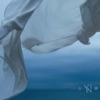 Youth Novels - The Moon