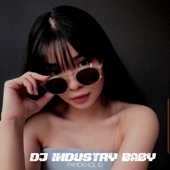 DJ Industry Baby (feat. ALDO KAMS) artwork