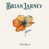 Perfect - Single