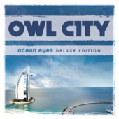 Fireflies - Owl City Cover Art