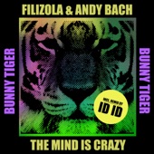 The Mind Is Crazy (ID ID Remix) artwork