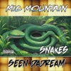 Snakes - Single