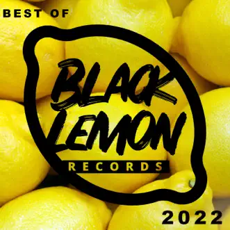 Best of Black Lemon Records 2022 by Various Artists album reviews, ratings, credits