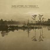 Mark Lettieri - Delicate Day