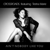 Ain't Nobody Like You (Soulpersona Raregroove Remix) [feat. Teisha Marie] artwork