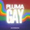 Pluma Gay artwork