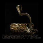 Essential - Single