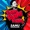 SAMU - Bam Bam Bam