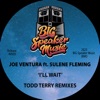 I'll Wait (feat. Sulene Fleming) [Todd Terry Remix] - Single