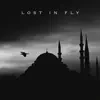 Lost in Fly - Single album lyrics, reviews, download