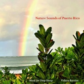 Nature Sounds of Puerto Rico artwork