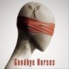Goodbye Horses - Single