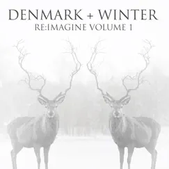 Re:Imagine, Vol. 1 by Denmark + Winter album reviews, ratings, credits