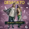 Stream & download Desacato - Single