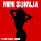 Mini Suknja cover