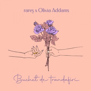 rares & Olivia Addams - Buchet de trandafiri (DJ Dark Remix) - Line Dance Musique