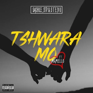 Tshwara Mo (feat. Mamello) - Single