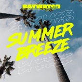 Summer Breeze Theme artwork