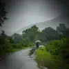 Peaceful Sound of Rain for Good Mood and Relaxation - Single album lyrics, reviews, download