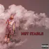 Not Stable - Single album lyrics, reviews, download