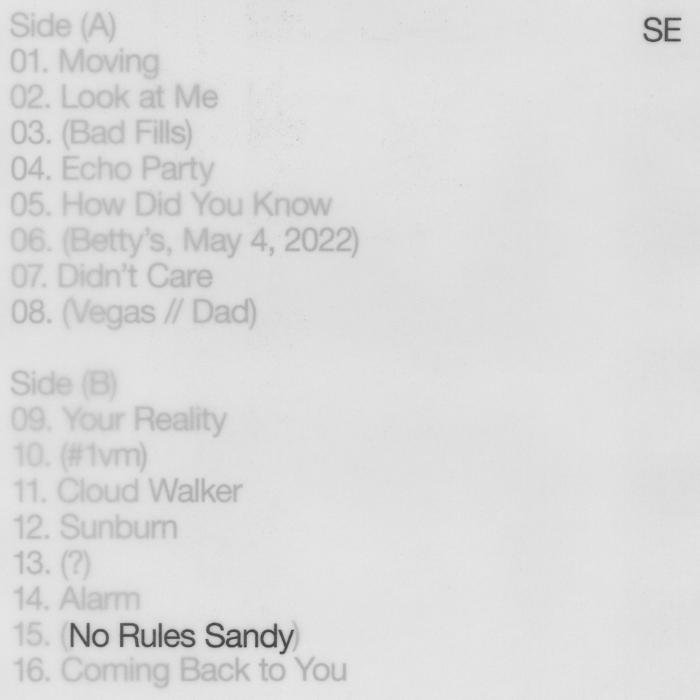 No Rules Sandy by Sylvan Esso