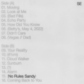 No Rules Sandy artwork