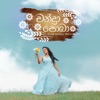 Chandra Sobha - Single