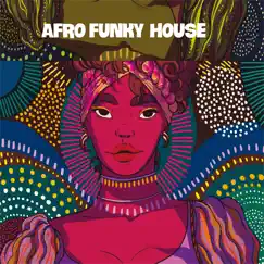 Afro Funky House by Various Artists album reviews, ratings, credits