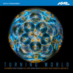 TURNING WORLD cover art