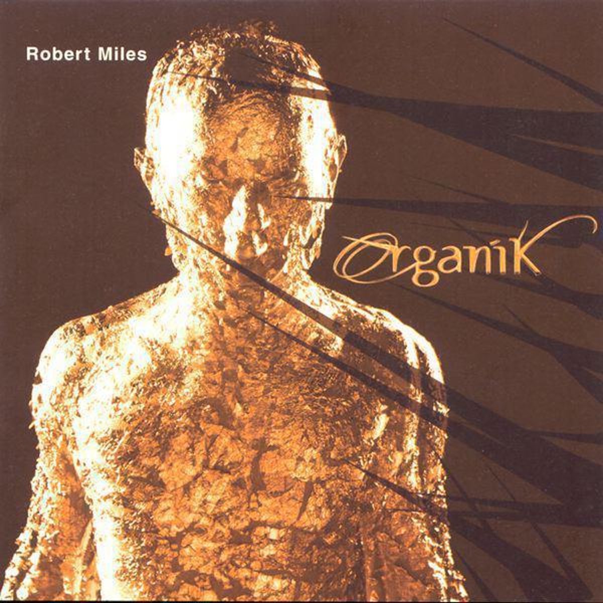 Robert miles песни. Robert Miles Organik 2001 обложка альбома.