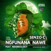 Ngfunana Nawe (feat. Ndumiology) - Single