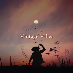 Vintage Vibes by Instrumental Hip Hop, Beats de Rap & Rap Beats album reviews, ratings, credits