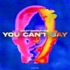 You Can't Say - Single