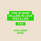 this is what falling in love feels like (Leon Leiden Remix) artwork