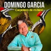 Carpintero de Mi Llano - Single
