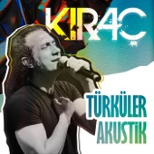 Türküler (Akustik) artwork