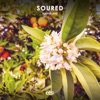 Soured - Single