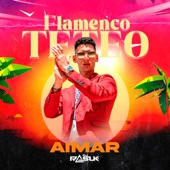 Flamenco Teteo artwork