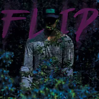 descargar álbum Flip - Flip