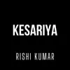 Kesariya (Instrumental Version) - Single album lyrics, reviews, download
