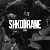 Shkodrane (feat. OTP) artwork