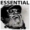 Essential album lyrics, reviews, download