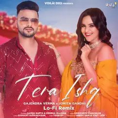 Tera Ishq (Lo-Fi Remix) Song Lyrics