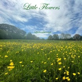 Little Flowers In the Rain (Instrumental Version) artwork