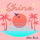 Shine artwork